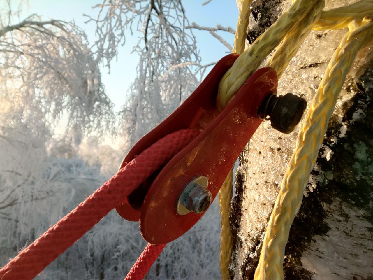 Картинка Блок грузовой RWR | Arbostuff от arbostuff.ru Блок грузовой RWR | Arbostuff